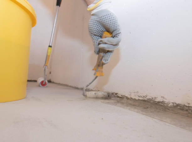 Best Termite Inspection and Treatment  in Monroeville, IN